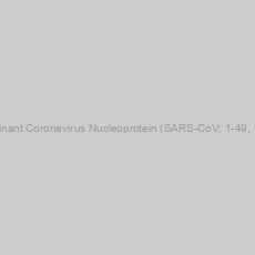 Image of Recombinant Coronavirus Nucleoprotein (SARS-CoV; 1-49, 192-220)